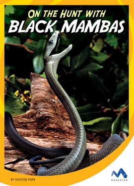 Cover image for On the Hunt with Black Mambas