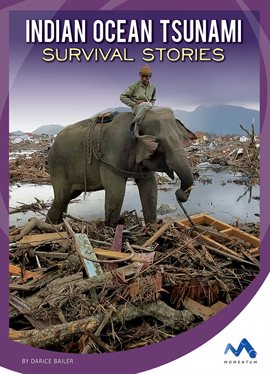 Cover image for Indian Ocean Tsunami Survival Stories