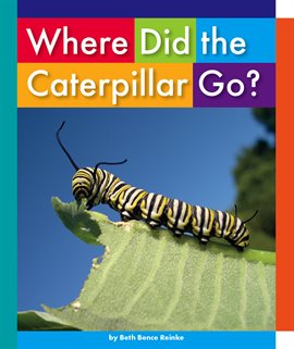 Imagen de portada para Where Did the Caterpillar Go?