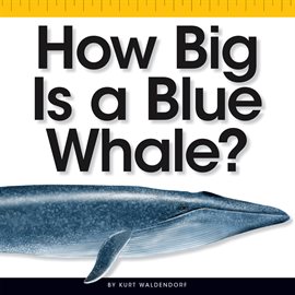 Cover image for How Big Is a Blue Whale?