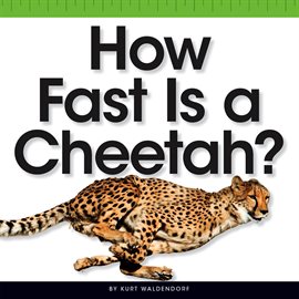 Cover image for How Fast Is a Cheetah?