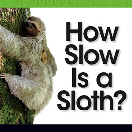 Cover image for How Slow Is a Sloth?