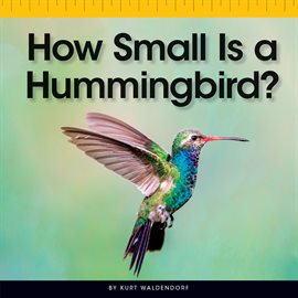Cover image for How Small Is a Hummingbird?