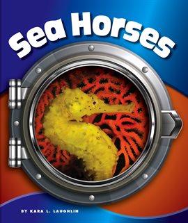 Cover image for Sea Horses