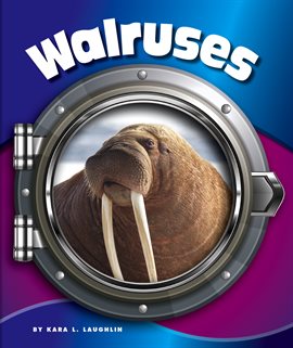 Cover image for Walruses