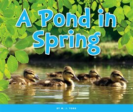 Book Jacket: A Pond in Spring