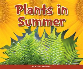 Cover image for Plants in Summer