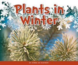 Cover image for Plants in Winter