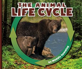 Cover image for The Animal Life Cycle