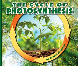 Imagen de portada para The Cycle of Photosynthesis