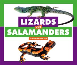 Cover image for Lizards and Salamanders