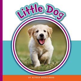 Imagen de portada para Little Dog