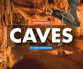 Cover image for Looking Into Caves