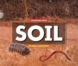 Cover image for Looking Into Soil