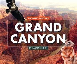 Cover image for Looking Into the Grand Canyon