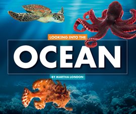 Cover image for Looking Into the Ocean