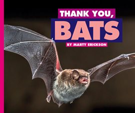 Cover image for Thank You, Bats