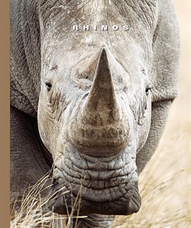 Cover image for Rhinos