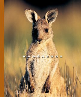 Cover image for Kangaroos