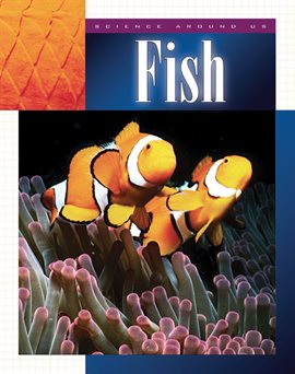 Cover image for Fish