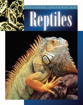 Cover image for Reptiles