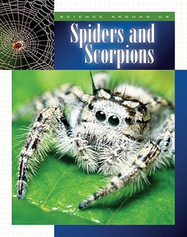 Cover image for Spiders and Scorpions