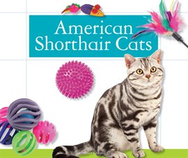 Cover image for American Shorthair Cats