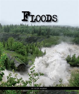 Cover image for Floods