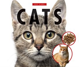 Imagen de portada para Cats