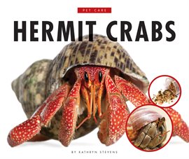 Imagen de portada para Hermit Crabs