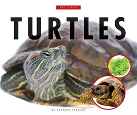 Cover image for Turtles