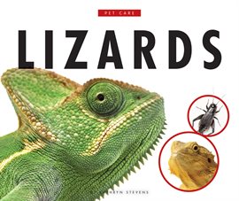 Imagen de portada para Lizards