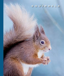 Cover image for Squirrels