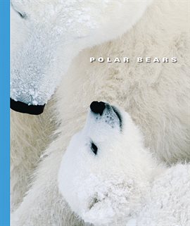 Cover image for Polar Bears