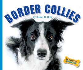 Cover image for Border Collies