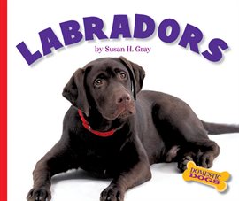 Imagen de portada para Labradors