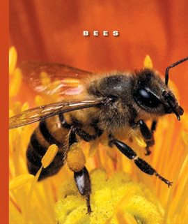 Cover image for Bees