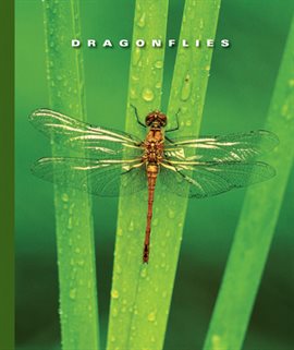 Cover image for Dragonflies