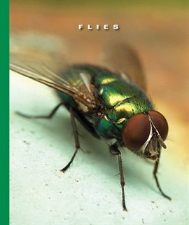 Cover image for Flies