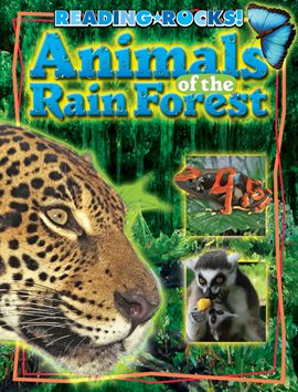 Cover image for Animals of the Rain Forest