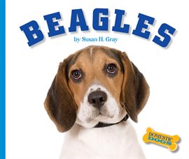 Cover image for Beagles