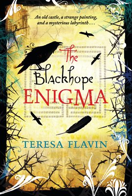 Cover image for The Blackhope Enigma