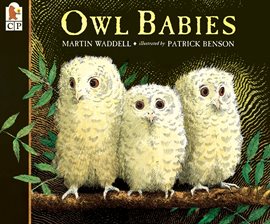 Cover image for Owl Babies