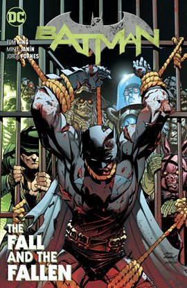 Cover image for Batman Vol. 11: The Fall and the Fallen