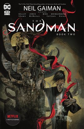 Cover image for The Sandman Book Two