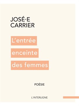 Cover image for L'entrée Enceinte Des Femmes