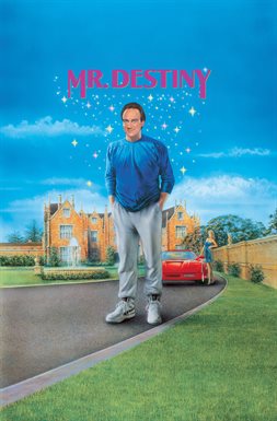 Book Jacket: Mr. Destiny