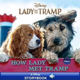 Cover image for Lady and the Tramp