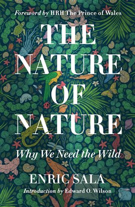 Cover image for The Nature of Nature