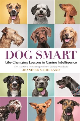 Cover image for Dog Smart: Life-Changing Lessons in Canine Intelligence